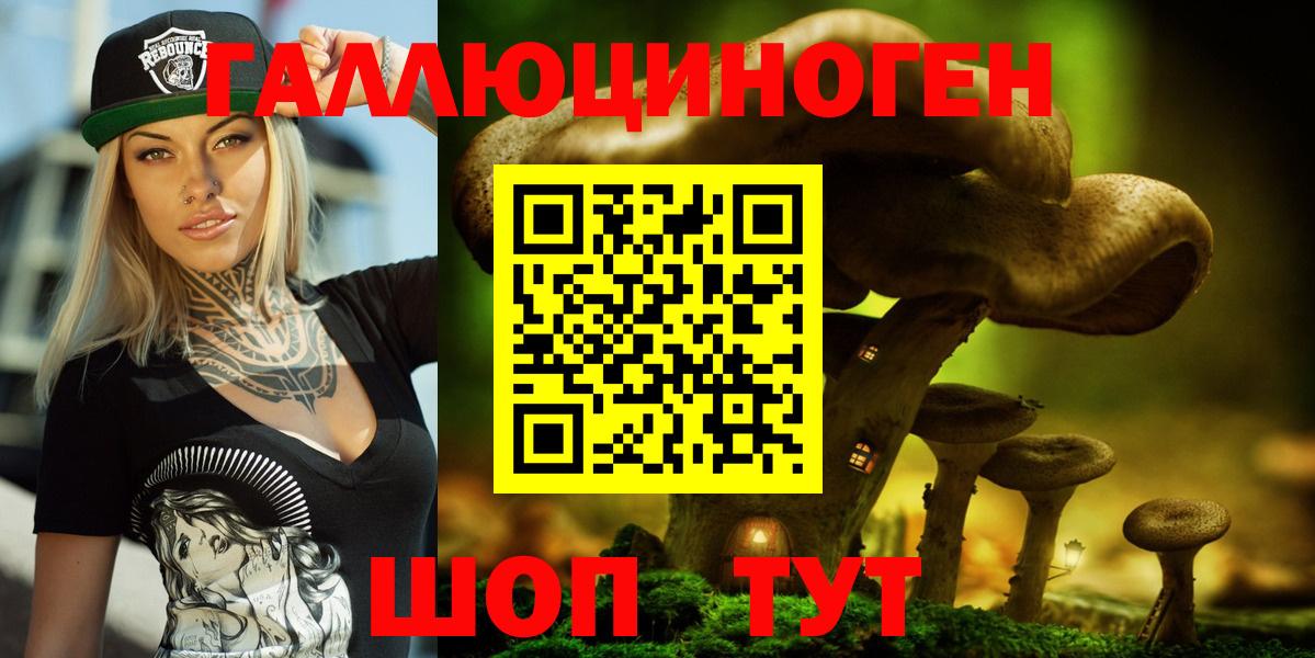 Домодедово  Галлюциногенные грибы MAGIC MUSHROOMS  Вход с VPN 