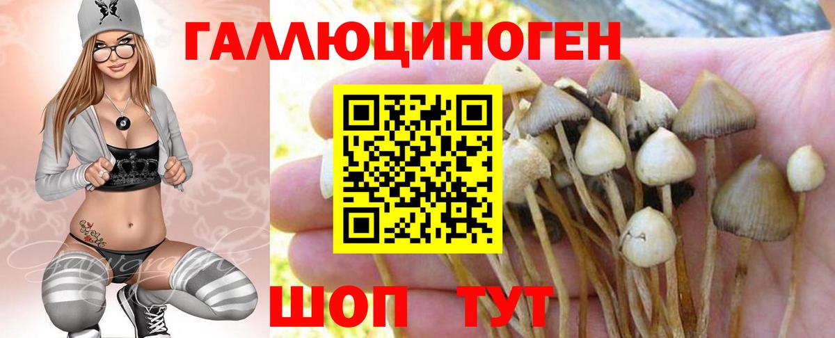 Псилоцибиновые грибы MAGIC MUSHROOMS Домодедово