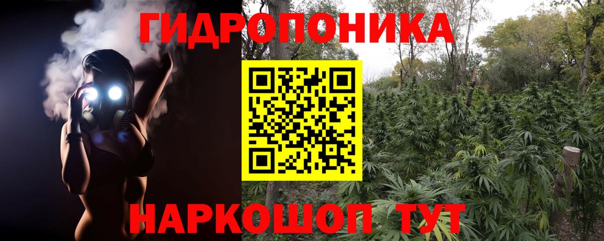 Канабис планчик Домодедово